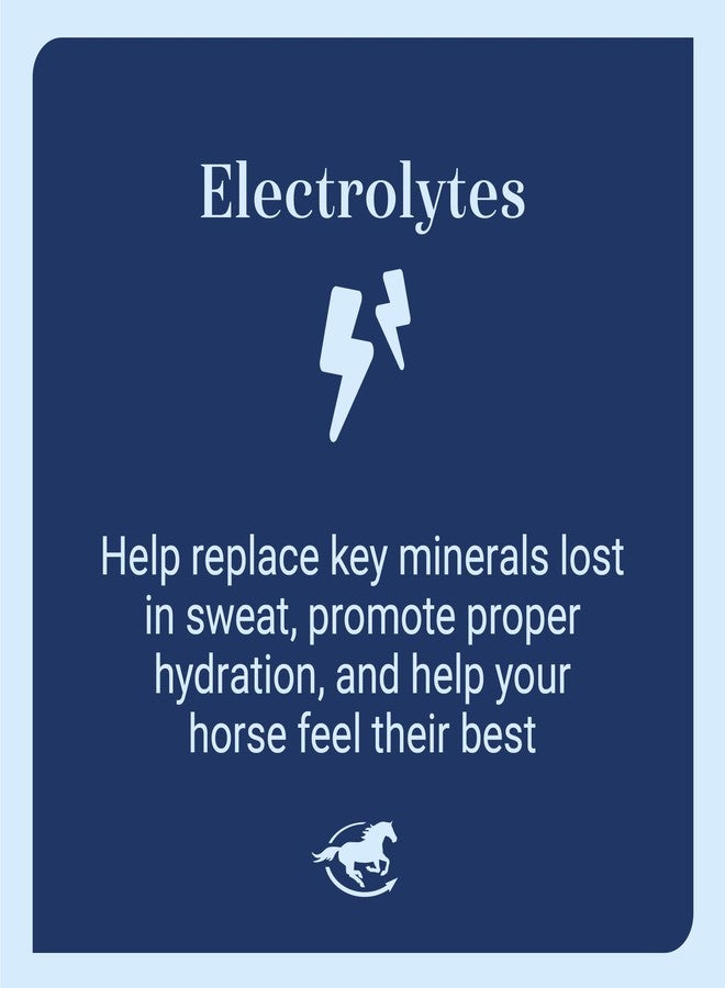 SmartEquine SmartLytes Paste Horse Electrolyte Paste | Encourages Hydration | Replenishes Electrolytes | No Added Sugar | Apple Banana Flavor | Pack of 6 Tubes - Image 4